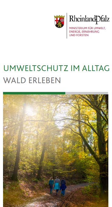 Titelseite des Flyers "Umweltschutz im Alltag: Wald erleben"