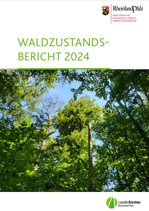 Titelseite der Broschüre "Waldzustandsbericht 2023"