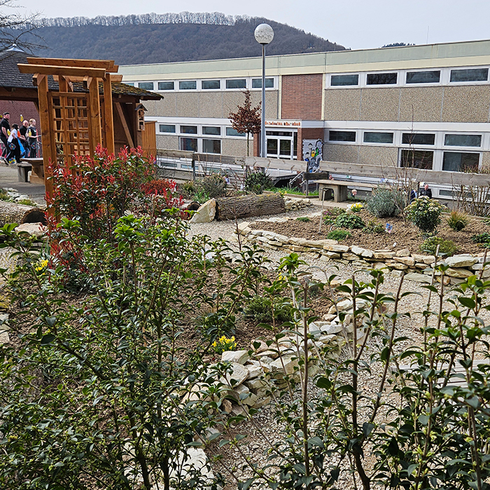 Friedrich-Spee-Realschule plus in Neumagen-Dhron