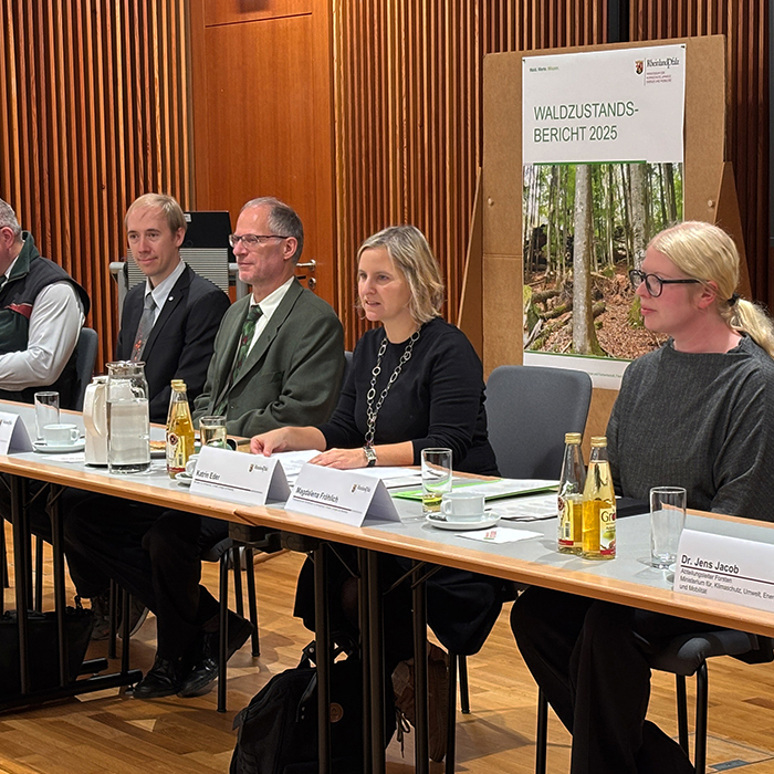 Auf einer Pressekonferenz stellt Klimaschutzministerin Katrin Eder den Waldzustandsbericht 2025 vor