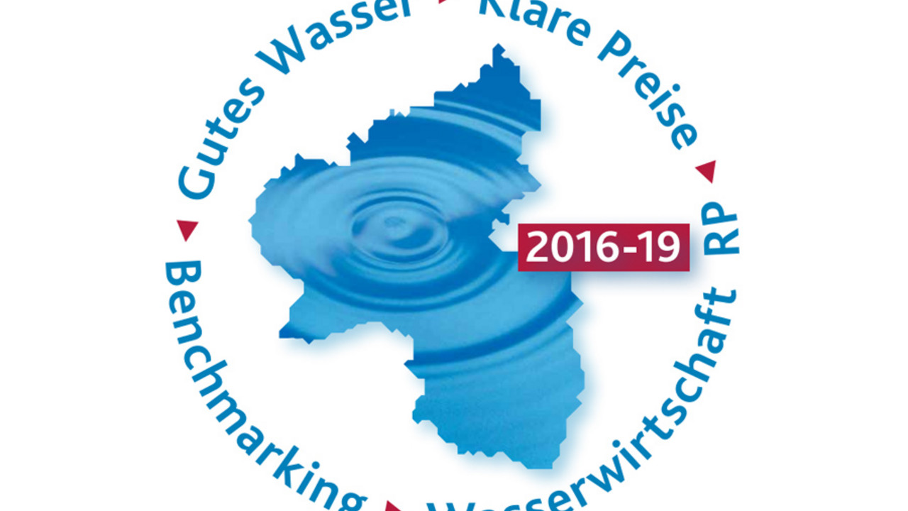 Ausschnitt aus der Titelseite der Broschüre "Benchmarking Wasserwirtschaft"