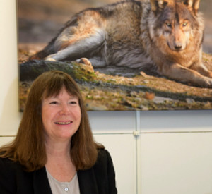Umweltministerin Höfken bei der Vorstellung des Wolfsmanagementplans