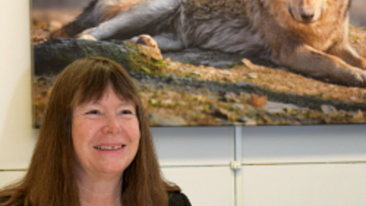 Umweltministerin Höfken bei der Vorstellung des Wolfsmanagementplans Umweltministerin Höfken bei der Vorstellung des Wolfsmanagementplans
