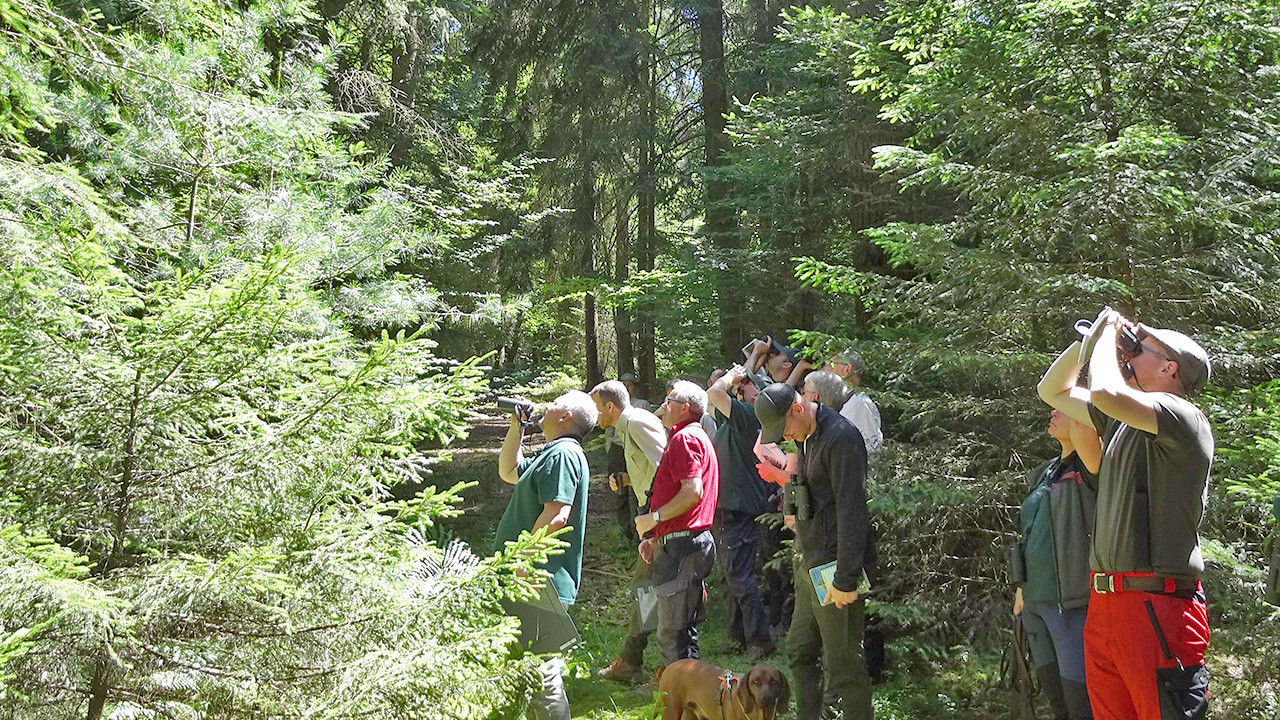 Waldzustandserhebung bei Trippstadt