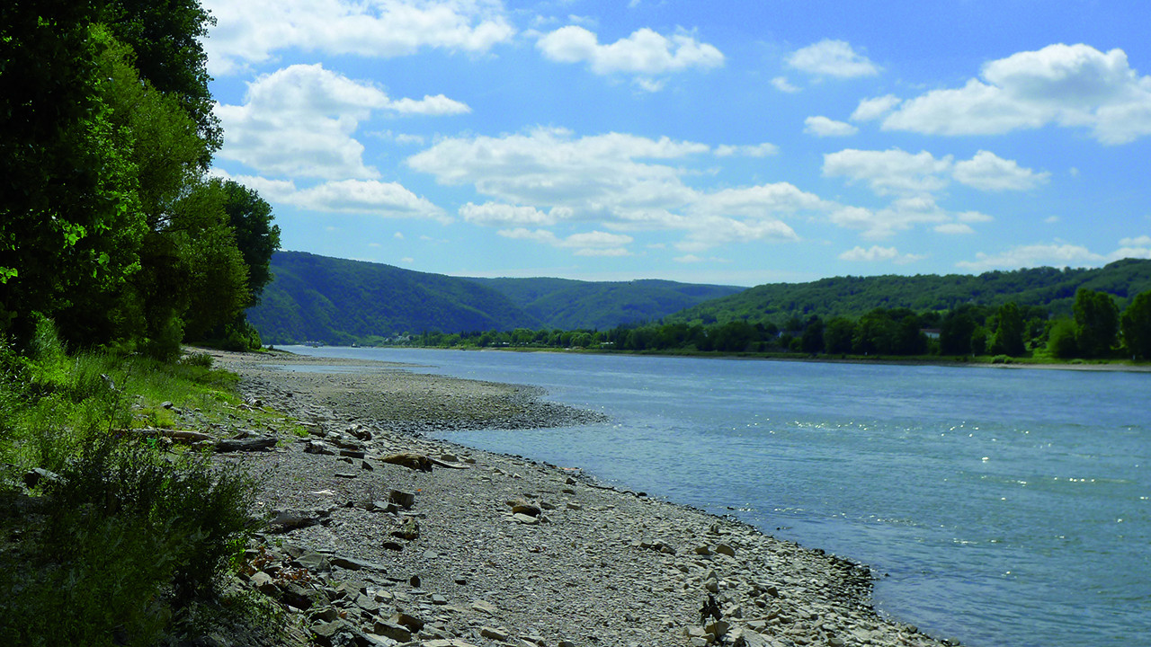 Rhein