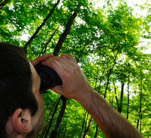 Forscher  im Laubwald mit Fernglas