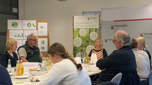 Katrin Eder: „Ergebnisse der Bundeswaldinventur zeigen: Unser Wald wird vielfältiger und damit widerstandsfähiger und war in den letzten zehn Jahren eine CO2-Senke“