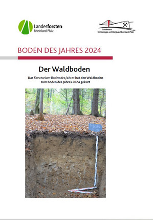 Das Bild zeigt das Deckblatt der Broschüre "Boden des Jahres 2024 - Der Waldboden"