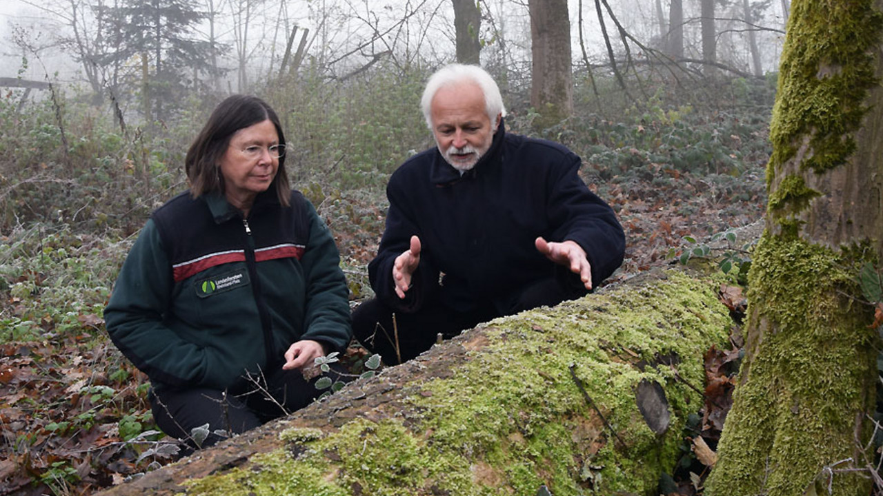 Forstministerin Ulrike Höfken und Hans-Werner Schröck von der Forschungsanstalt für Waldökologie und Forstwirtschaft Rheinland-Pfalz