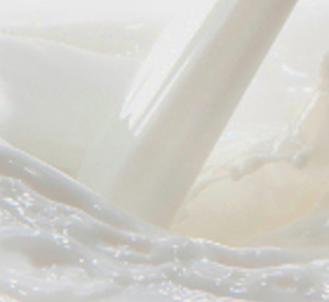 Milch. Foto: Istockphoto