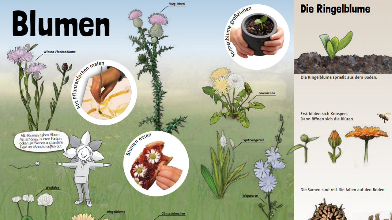 Bildausschnitt aus dem Entdeckerheft