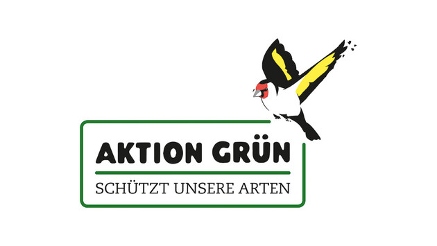 Katrin Eder: „Aktion Käferkarawane der Evangelischen Kirche der Pfalz zeigt, dass jeder beim Naturschutz mitmachen kann“