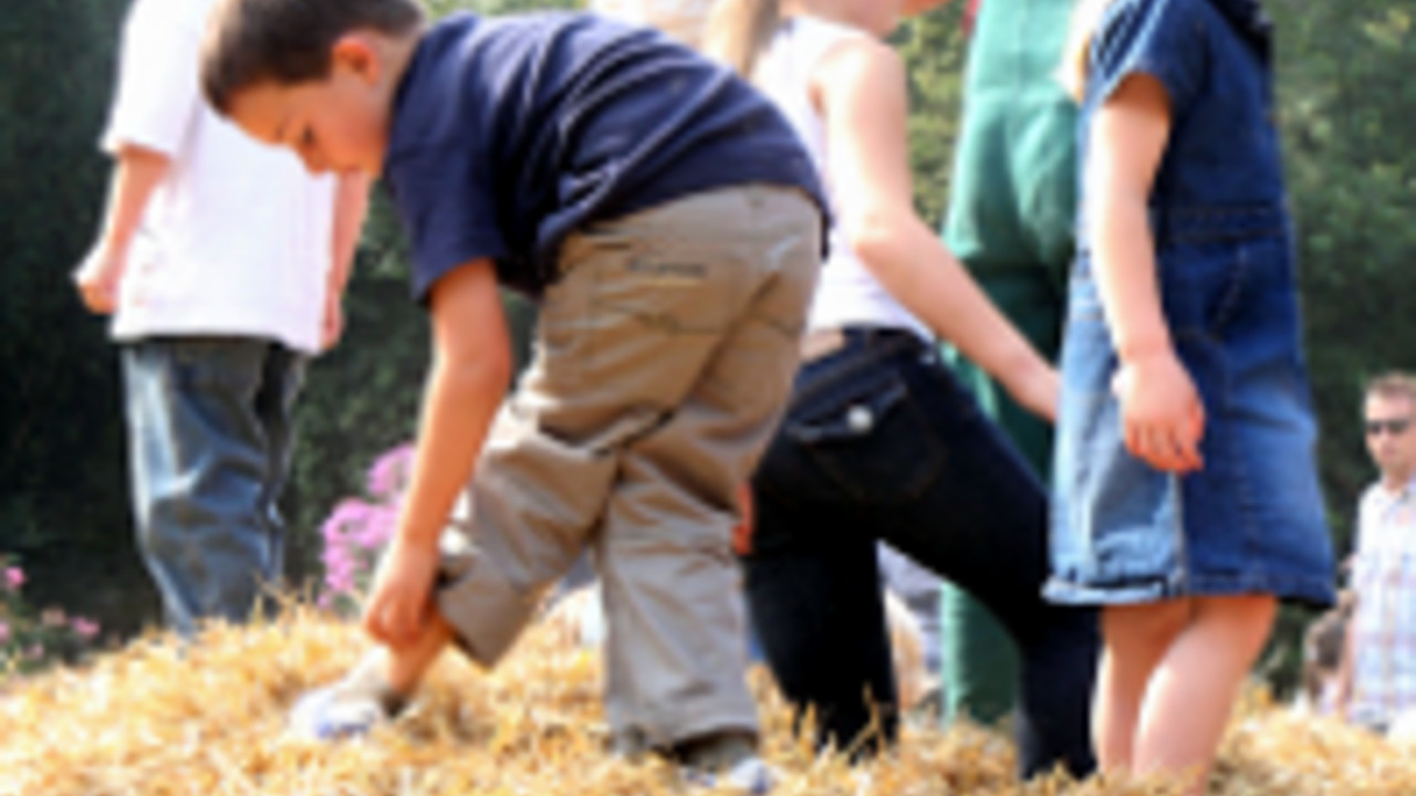 Kinder spielen auf einem Heuhaufen, Foto Landwirtschaftskammer RLP