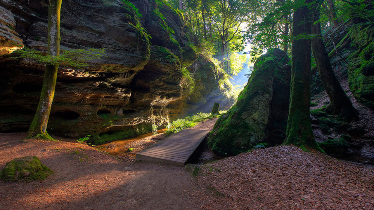 Naturpark Südeifel