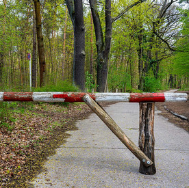 Holzschranke an einem Waldweg