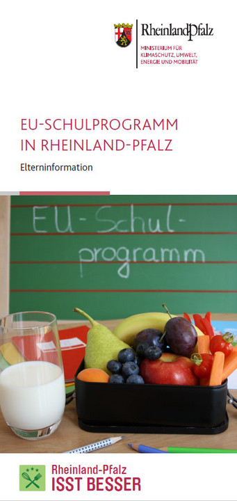Titelseite des  Flyers "EU-Schulprogramm in Rheinland-Pfalz"