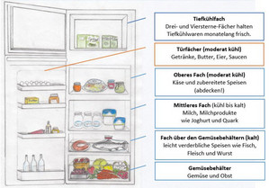 Kühlschrankzeichnung mit Erklärung der einzelnen Fächer