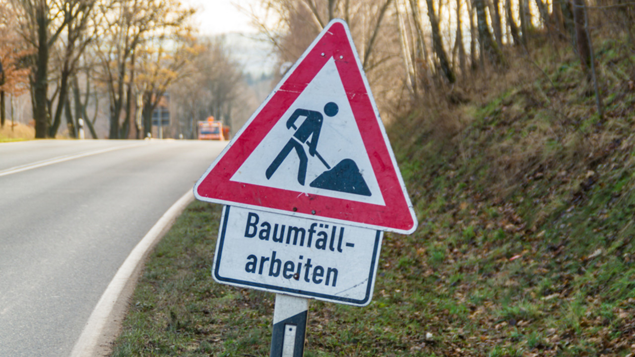 Schild Baumfaellarbeiten