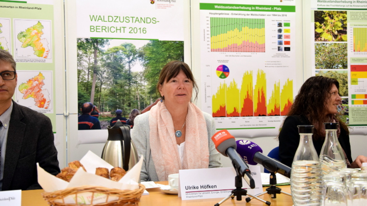 In Mainz stellt Forstministerin Ulrike Höfken den Waldzustandsbericht 2016 vor.