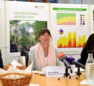 In Mainz stellt Forstministerin Ulrike Höfken den Waldzustandsbericht 2016 vor.