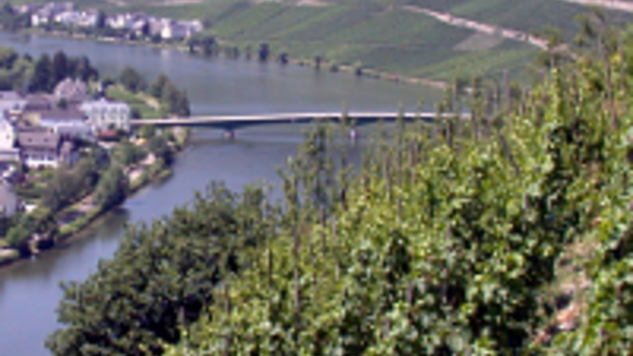 Steillagenweinbau an der Mosel. Foto: DLR Steillagenweinbau an der Mosel. Foto: DLR