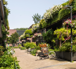 Begrünte Wohnhäuser in einer Stadt