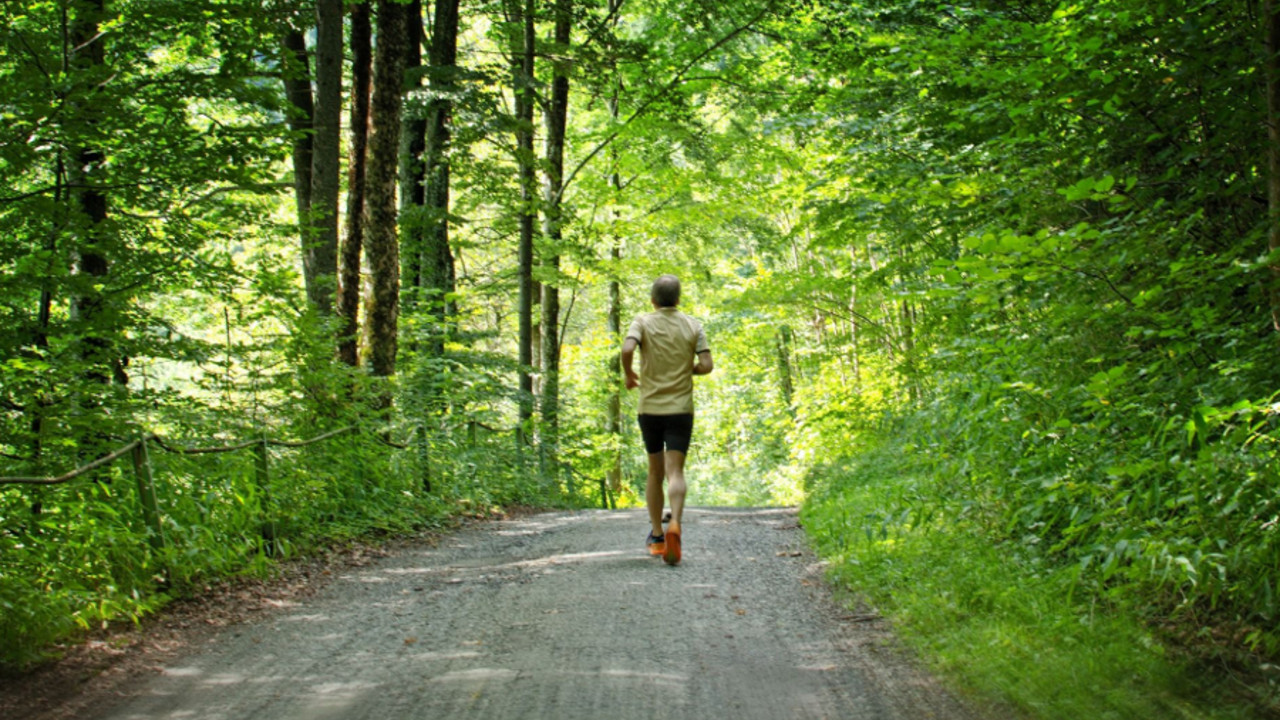 Jogger im Wald
