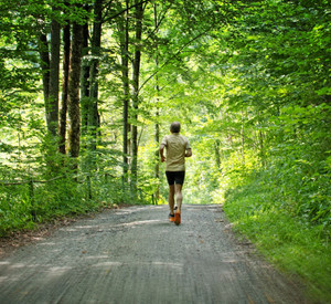 Jogger im Wald
