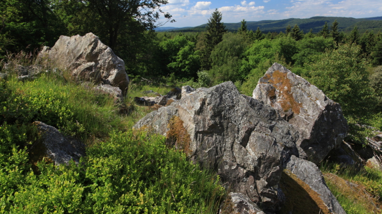 Nationalpark Hunsrück-Hochwald