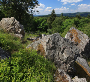 Nationalpark Hunsrück-Hochwald