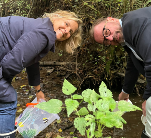 Klimaschutzministerin Katrin Eder setzt gemeinsam mit SGD-Nord-Präsident Wolfgang Treis junge Steinkrebse in einem Bach bei Koblenz aus.