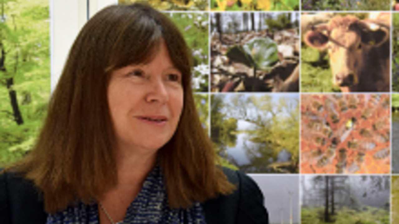 Umweltministerin Höfken stellt die Biodiversitätsstrategie des Landes vor. Umweltministerin Höfken stellt die Biodiversitätsstrategie des Landes vor.