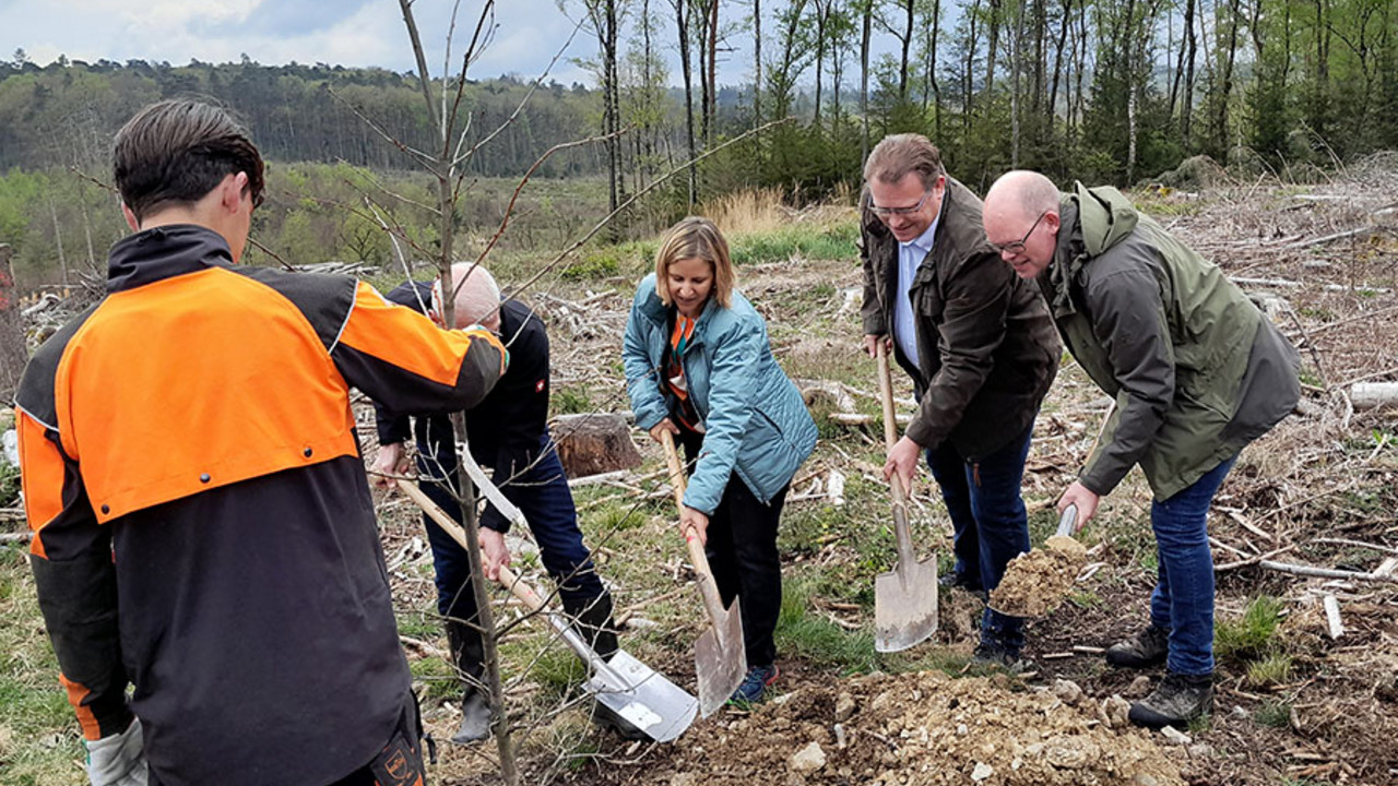 Baumpflanzaktion mit Klimaschutzministerin Katrin Eder