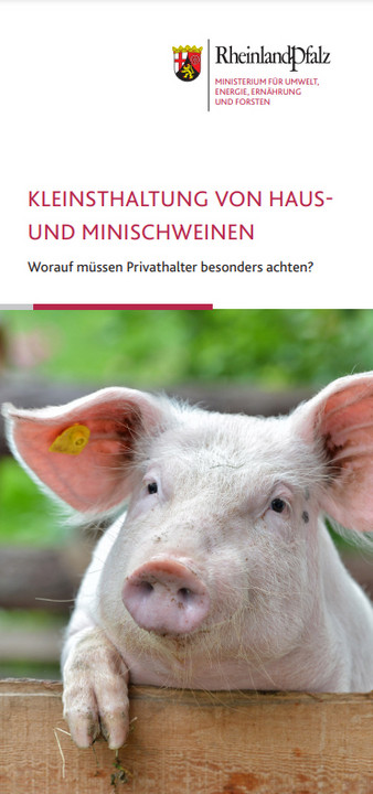 Titelseite des Flyers "Kleinsthaltung von Haus- und Minischweinen"