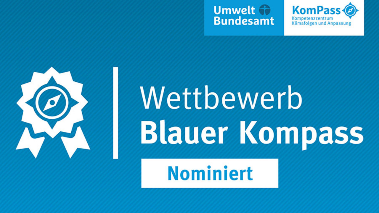 Web Logo Blauer Kompass