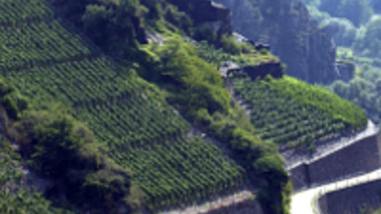 Weinberge an der Ahr, Foto: Deutsches Weininstitut Weinberge an der Ahr, Foto: Deutsches Weininstitut