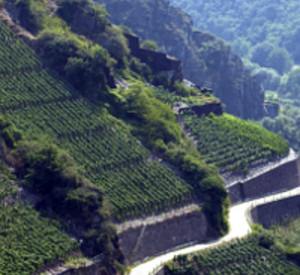 Weinberge an der Ahr, Foto: Deutsches Weininstitut