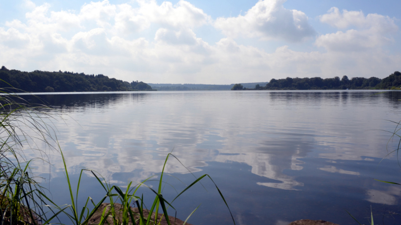 Dreifelder Weiher