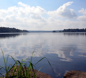 Dreifelder Weiher