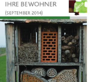 Titelbild der aktuellen September-Ausgabe des Faltblatts