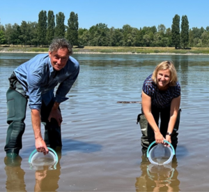 Umweltministerin Katrin Eder und Dr. Andreas Scharbert vom Rheinischen Fischereiverband stehen nebeneinander im Fluss und Tauchen zwei Eimer vorsichtig ein. Im Hintergrund ist das Ufer mit Bäumen zu sehen.