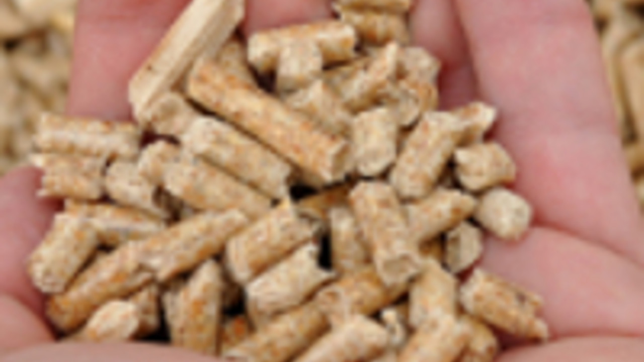 Holzpellets in offener Hand. Foto: fotolia Holzpellets in offener Hand. Foto: fotolia