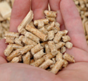 Holzpellets in offener Hand. Foto: fotolia