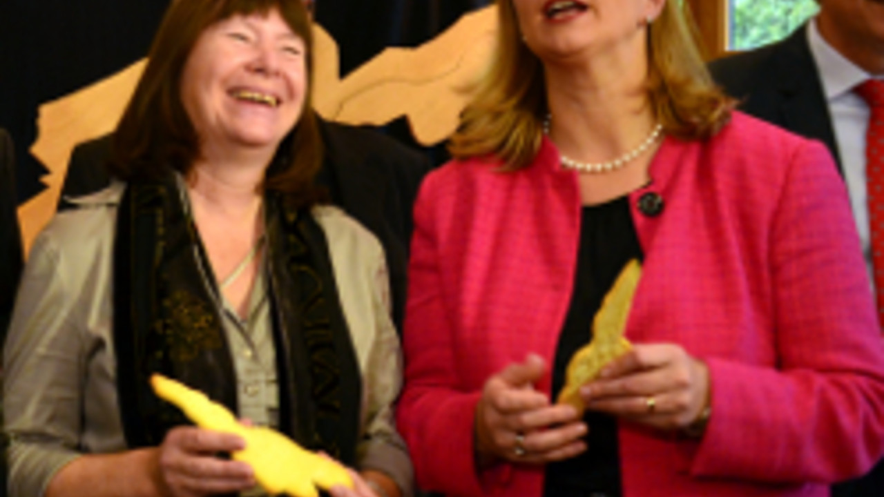 Ulrike Höfken und ihre saarländische Amtskollegin Anke Rehlinger, Foto. S.Heinrich, Landesforsten RLP