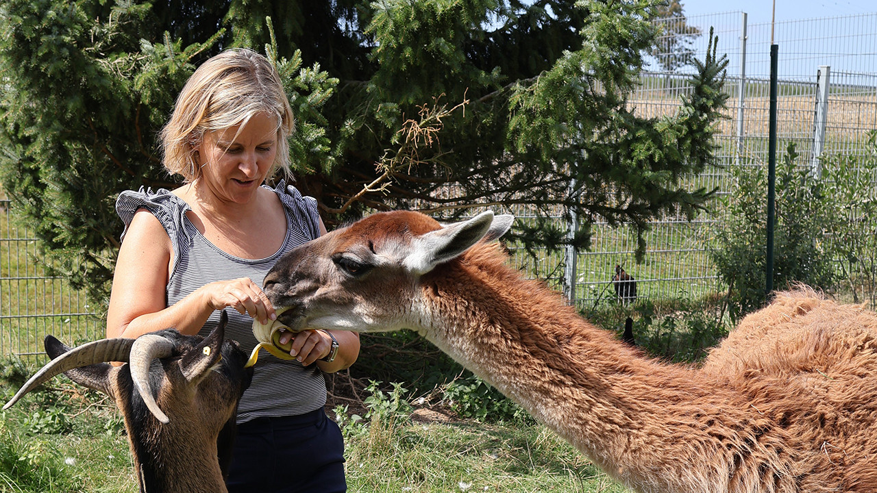 Umweltministerin Katrin Eder füttert Lama und Ziege im Tierheim Montabaur