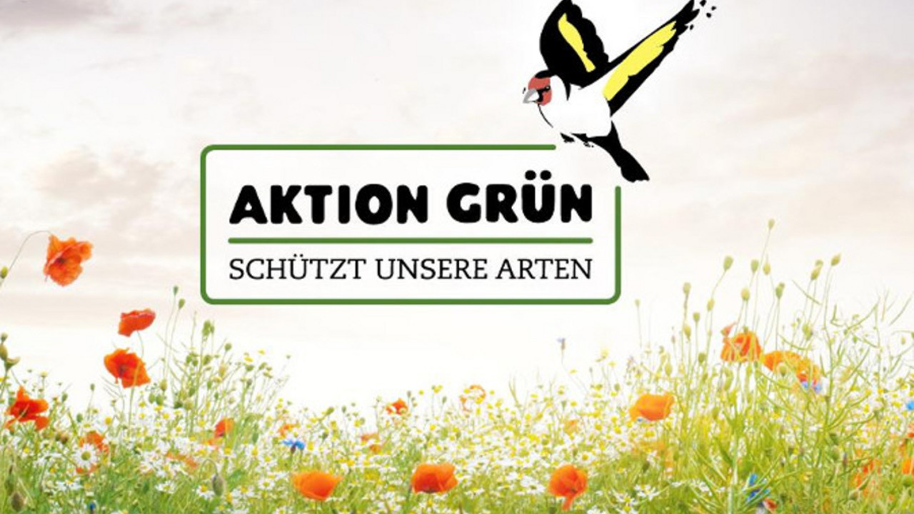 Aktion Grün Logo