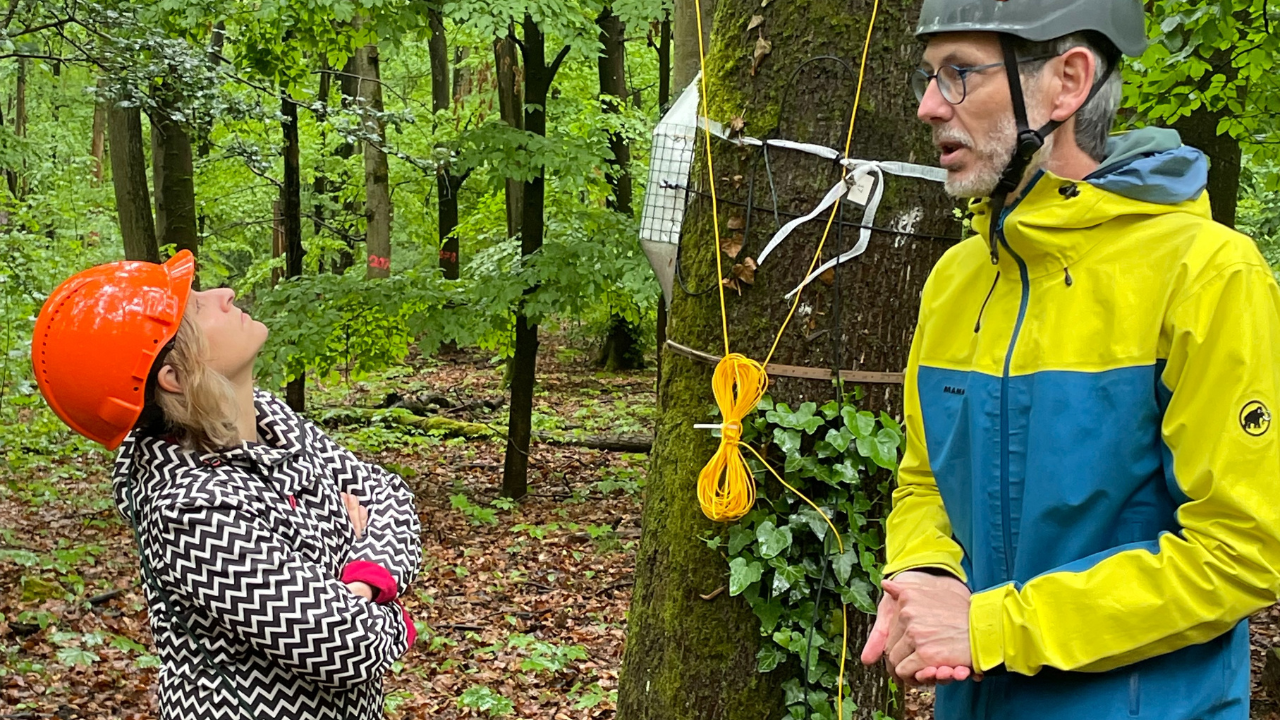 Dr. Matthias Arend berichtet Klimaschutzministerin Eder vom Forschungsprojekt im Lennebergwald.
