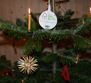 Oeko-Weihnachtsbaum