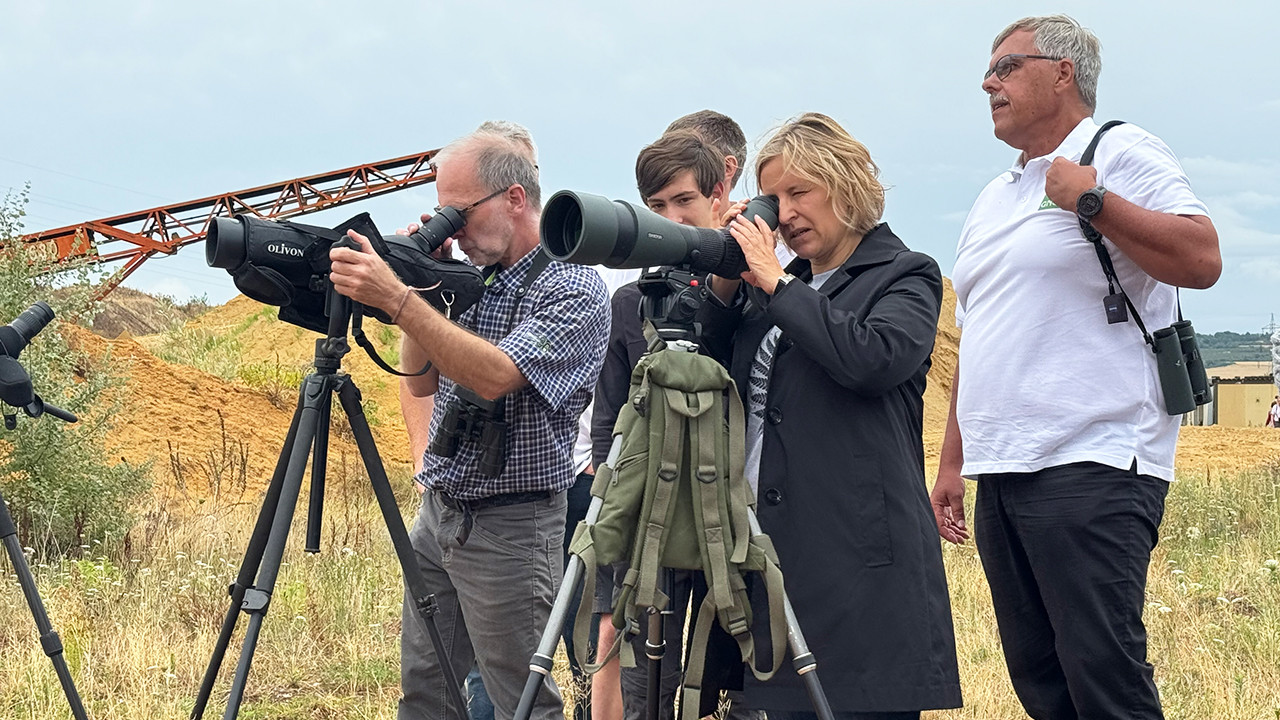 Blick durchs Fernrohr: Umweltministerin Katrin Eder unterwegs im Brutgebiet von Bienenfresser und Uferschwalbe