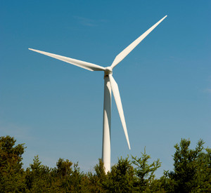 Windrad im Wald, Foto: iStockphoto